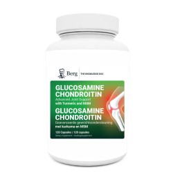 Glucosamine Chondroitin