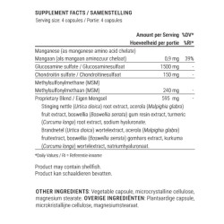 Glucosamine Chondroitin