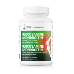 Glucosamine Chondroitin